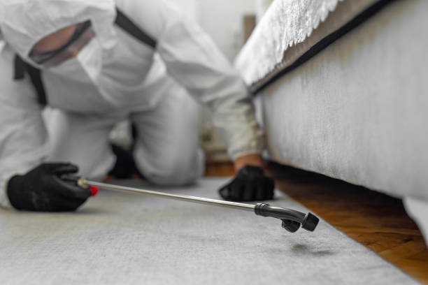 Professional Ant Control technician working in Las Campanas, NM