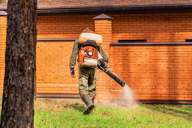 Trusted Cockroach Control service in Las Campanas, NM - Nex Pest Control